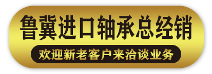 鲁冀进口轴承总经销