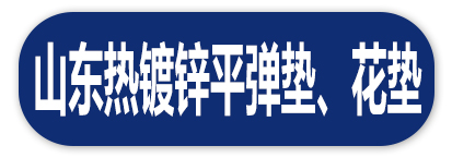 山东热镀锌平弹垫、花垫